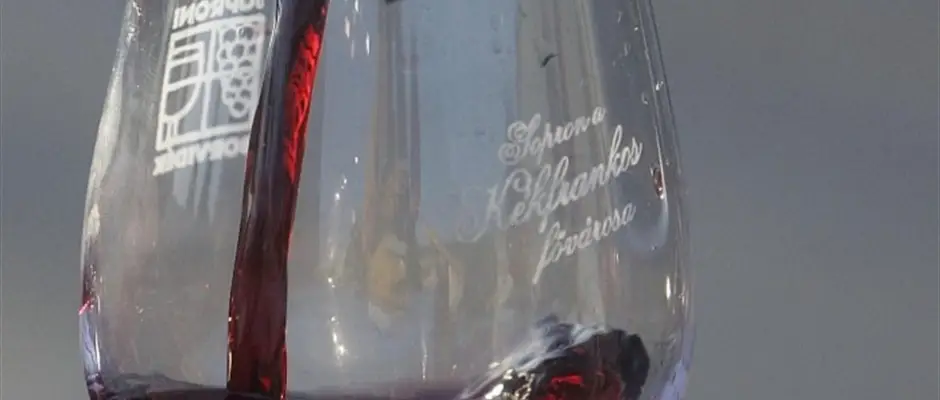 Sopron a kkfrankos fvrosa - a Sopron Hotel ajnlsval