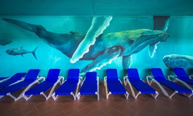 Napfényfürdő Aquapolis - Élményfürdő és csúszdapark - a Hotel Forrás Szeged ajánlásával