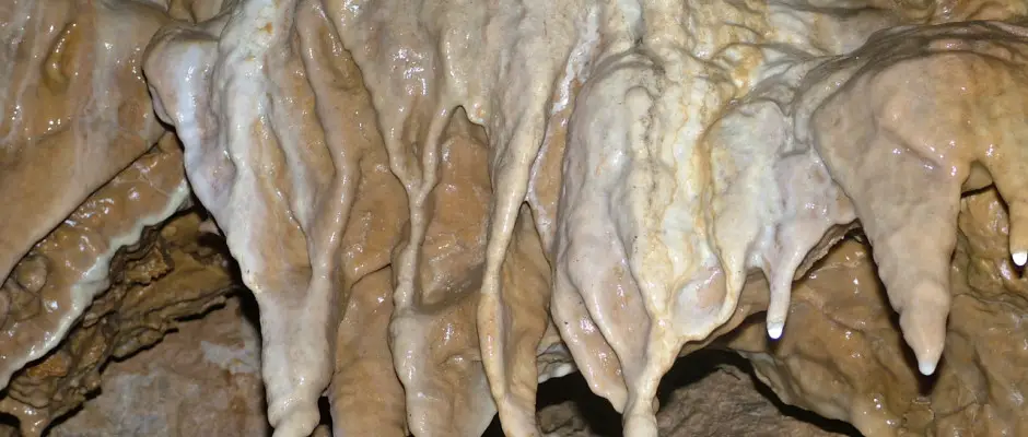 Csodabogys barlang - a Judit Panzi ajnlsval