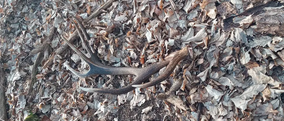 Kirnduls a kis hz mgtt - a Kerka Vendghz ajnlsval