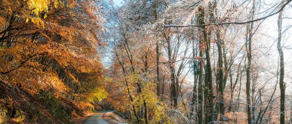 K�szeg erd� - a K�szeghegyalja Vend�gh�z aj�nl�s�val