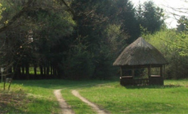 Gödöllői arborétum - a Libra Hotel ajánlásával