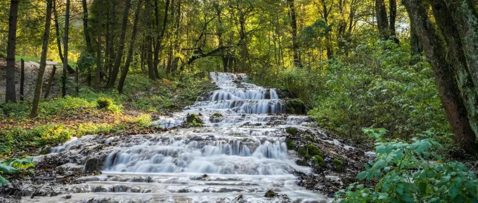 Szalajka vzess - a Lilla Apartmanhzak ajnlsval
