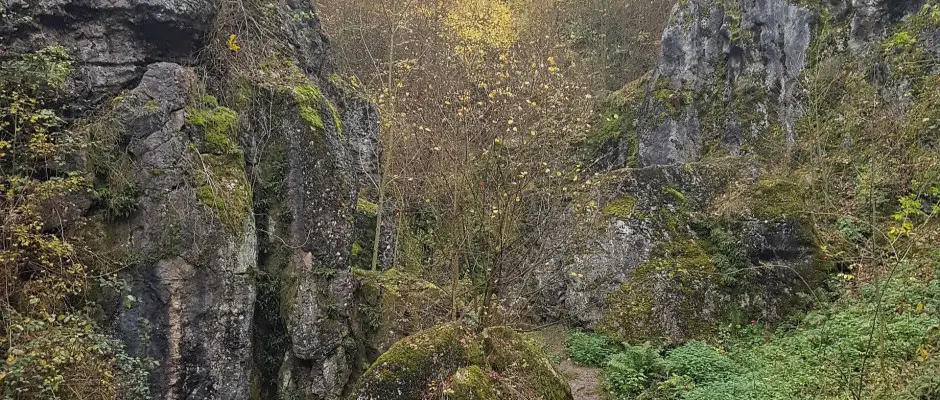 bakony - a Mrki Vendghz ajnlsval