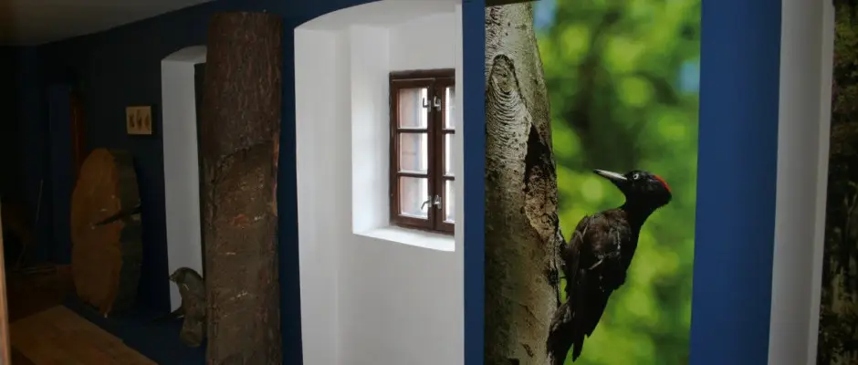 bakonyi erdok haza - a Mrki Vendghz ajnlsval