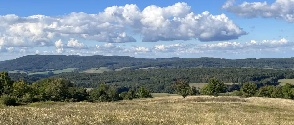 bakony - a Mrki Vendghz ajnlsval