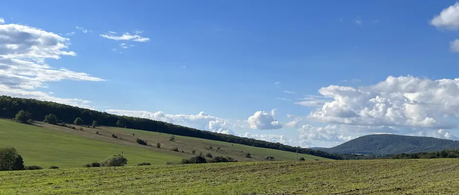 bakony - a Mrki Vendghz ajnlsval