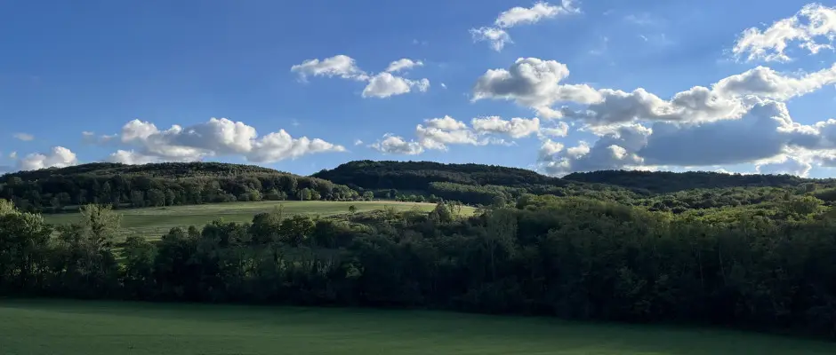 bakony - a Mrki Vendghz ajnlsval