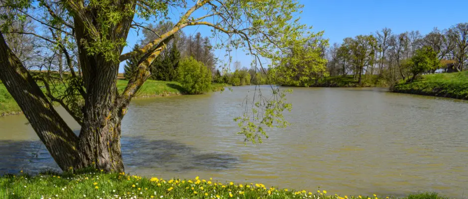 Csurg,Zis-t - a Meller Kastly Villa ajnlsval