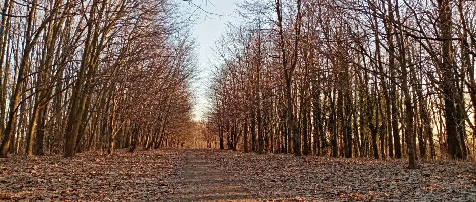 Knyavri Sziget - a Ngy vszak Apartmanhz Zalakaros ajnlsval