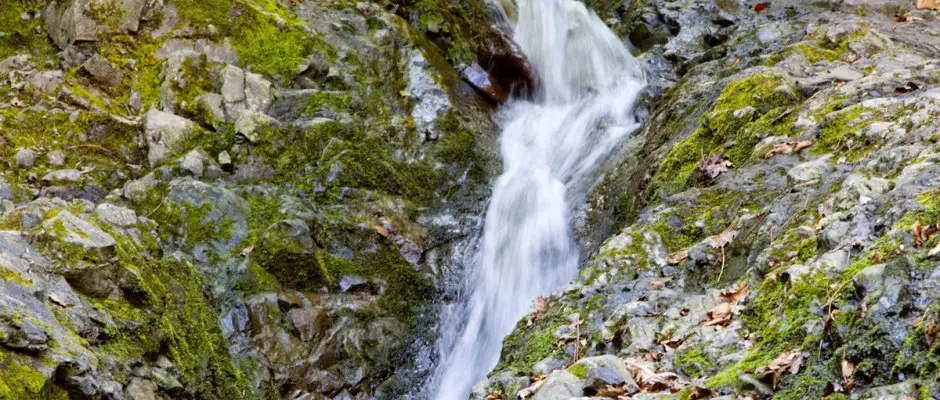 erdei patak - a Patak Park Hotel ajnlsval