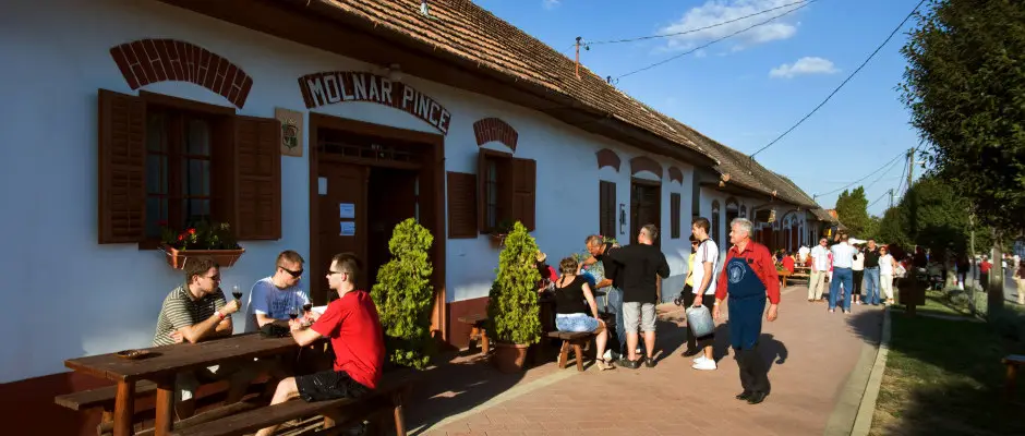 Villány - a Harkányi Psoriasis Centrum ajánlásával