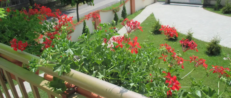 Kamerval megfigyelt, zrt parkol, kert - a Riviera Apartman ajnlsval