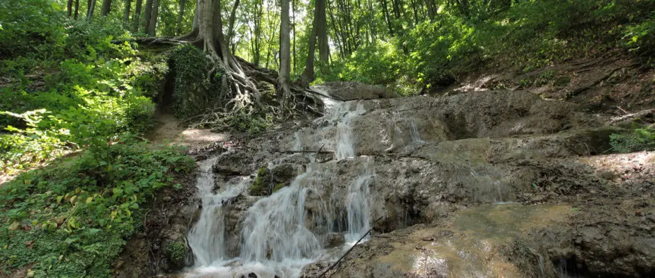 Melegmnyi msztufa lpcsk - az Ambient Hotel ajnlsval