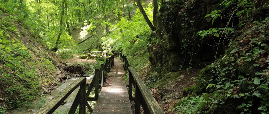 Ambient Sikonda krtra - az Ambient Hotel ajnlsval