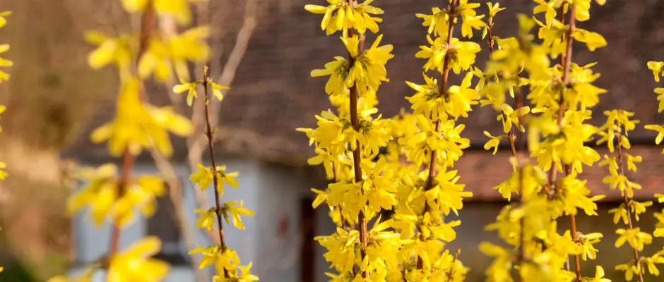 Bonnya - a Somogy Kertje dlfalu s tterem ajnlsval