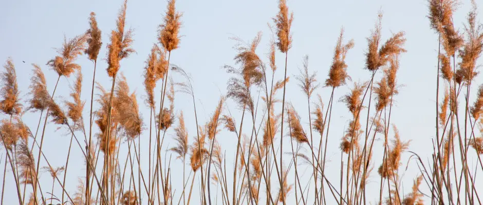 Bonnya - a Somogy Kertje dlfalu s tterem ajnlsval