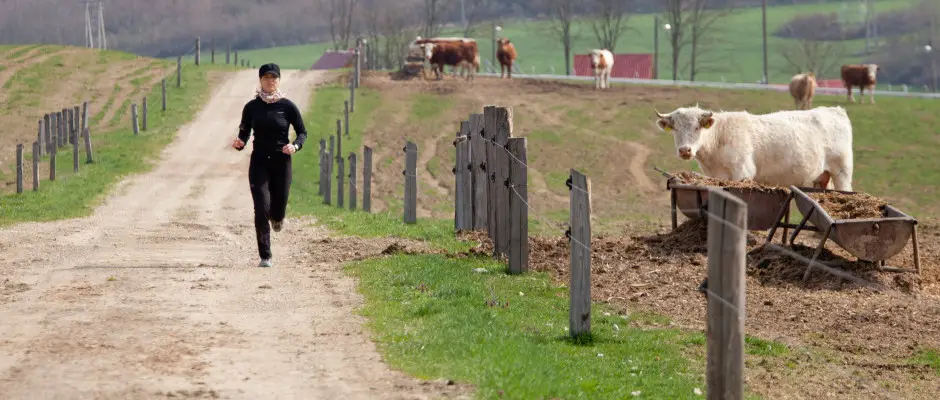 Bonnya klterlet - a Somogy Kertje dlfalu s tterem ajnlsval
