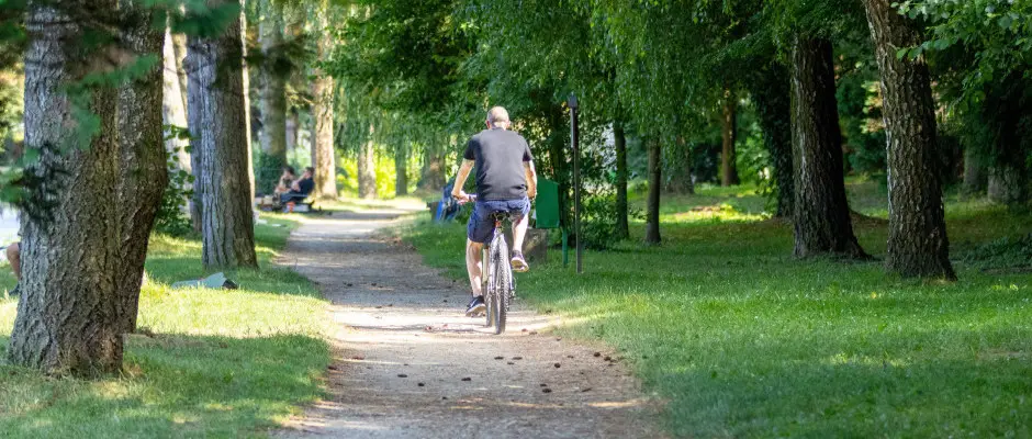 t - a T-Part Panzi & Rendezvnykzpont ajnlsval