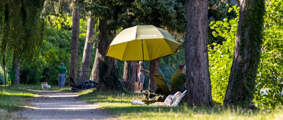 t - a T-Part Panzi & Rendezvnykzpont ajnlsval