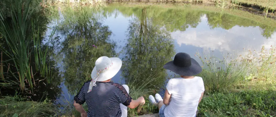 Krnyken - a T Wellness Hotel ajnlsval