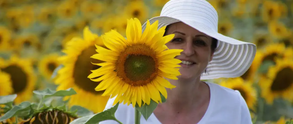 Krnyken - a T Wellness Hotel ajnlsval