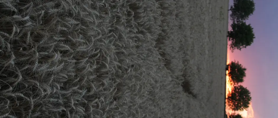 naplemente - a T Wellness Hotel ajnlsval