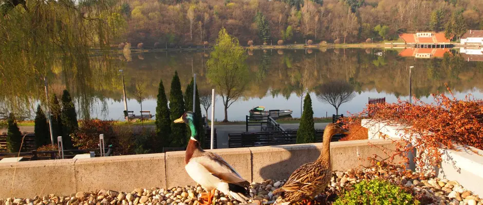 Kert - a T Wellness Hotel ajnlsval