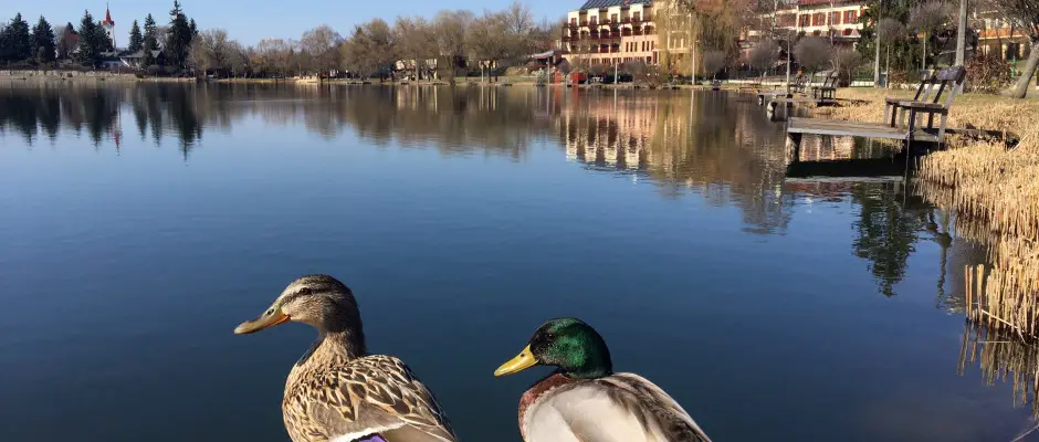 Bnki t - a T Wellness Hotel ajnlsval