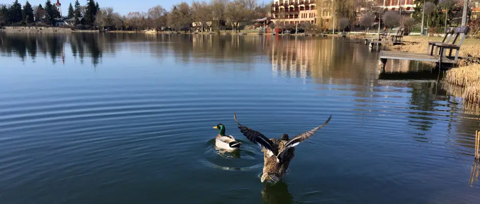 Bnki t - a T Wellness Hotel ajnlsval