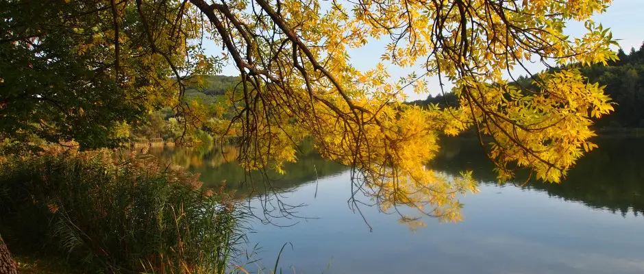 Bnki t - a T Wellness Hotel ajnlsval