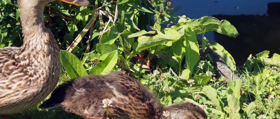 Bnki t - a T Wellness Hotel ajnlsval