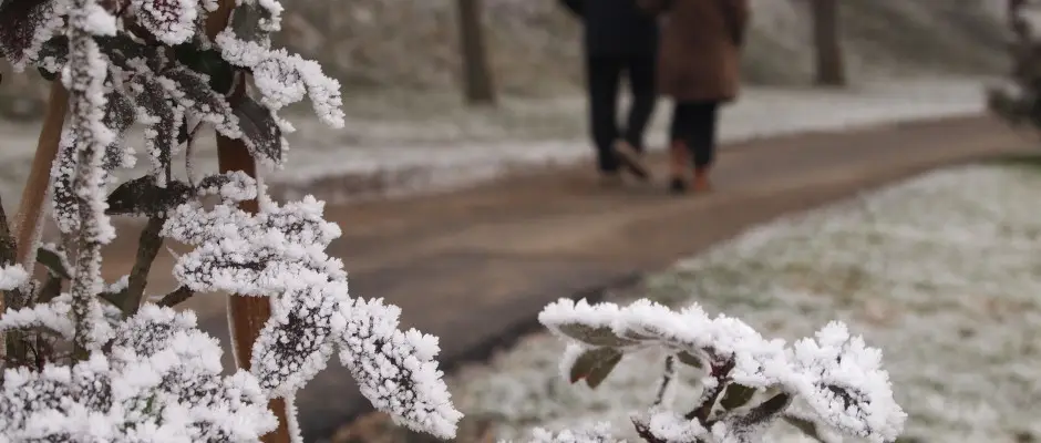 Tlen - a T Wellness Hotel ajnlsval