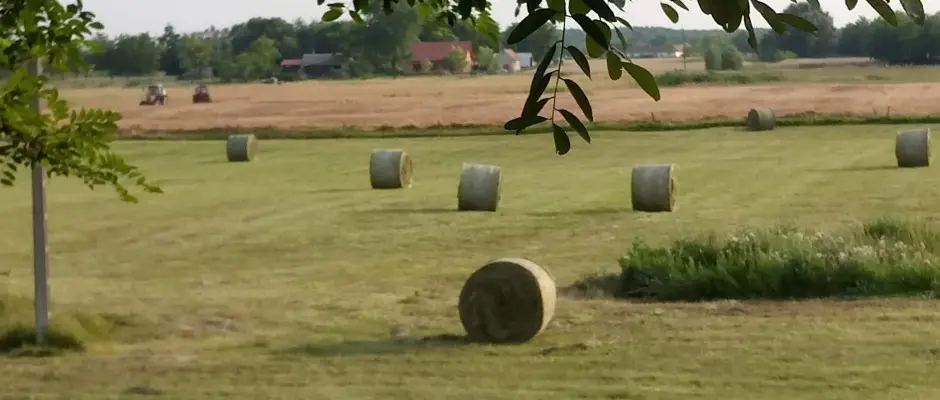 csoda rt - a Turul Tanya ajnlsval