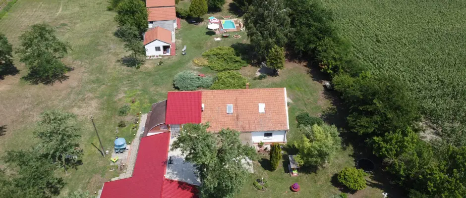 Terlet madrtvlatbl - a Turul Tanya ajnlsval