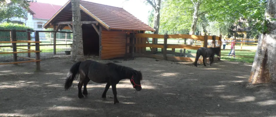 llatsimogatnk Kicsiknek s Nagyoknak.... - a Vadkert Major ajnlsval