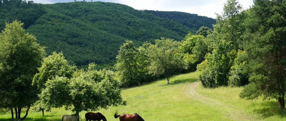 Darn vlgy - a Vr Camping ajnlsval