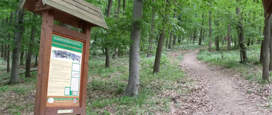 Tansvny - trzs, kirnduls - a La Contessa ajnlsval