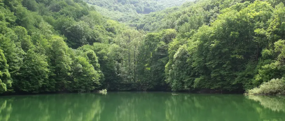 Pisztrngos t - a La Contessa ajnlsval