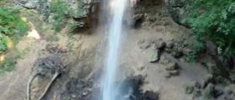 Lillafred vzess - a Zenit Panzi ajnlsval