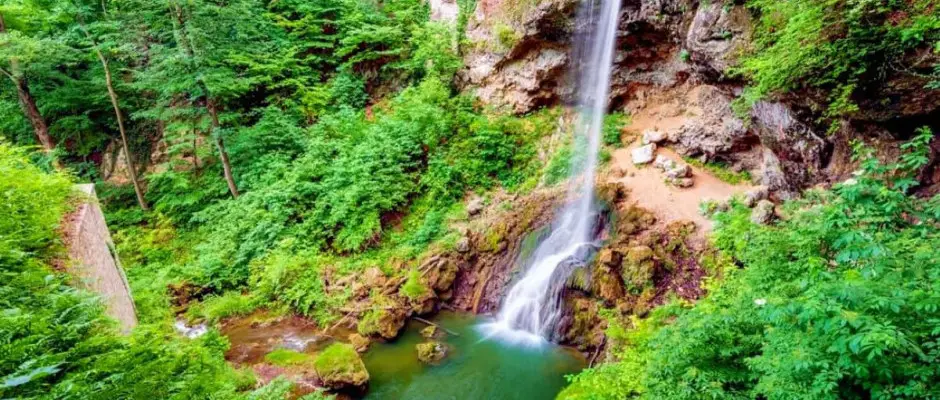 Lillafred vzess - a Zenit Panzi ajnlsval