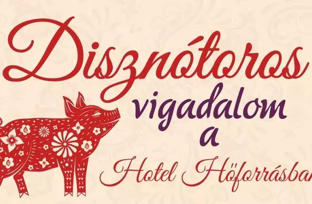 Hotel Hőforrás Hajdúszoboszló Hotel Hőforrás Hajdúszoboszló