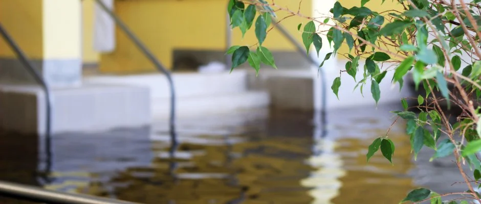 Hotel Hforrs Hajdszoboszl