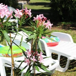  Hajdúszoboszló - Húsvét (min. 2 éj)