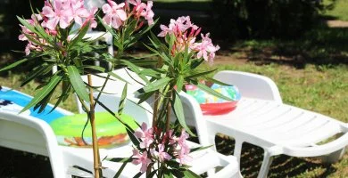 H�sv�t (min. 2 �j)