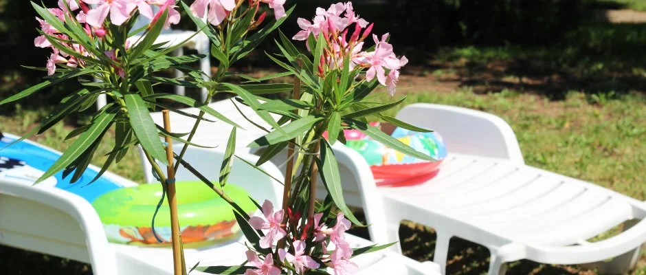 Hotel Hforrs Hajdszoboszl