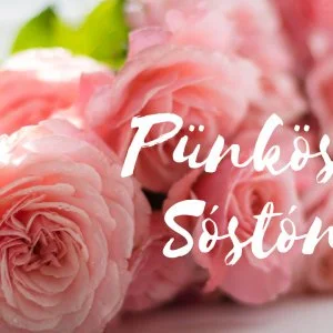  Nyíregyháza - Sóstó - Pünkösd (min. 3 éj)