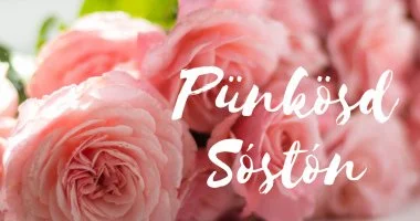 P�nk�sd (min. 3 �j)