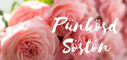 Hunguest Hotel S�st� Ny�regyh�za - S�st� - P�nk�sdi akci�k