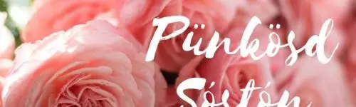 Hunguest Hotel S�st� 